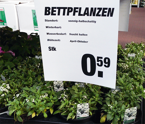 Bettpflanzen (Toom-Baumarkt, Meppen, Niedersachsen) © Markus Gutreise 22.5.2013_bearbeitet_cwSmuav8_f.jpg
